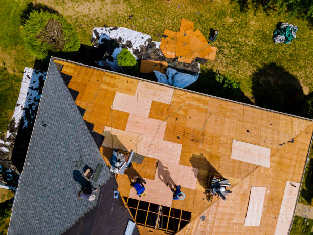 Best Roof Gutter Cleaning  in Shawnee Hills, OH
